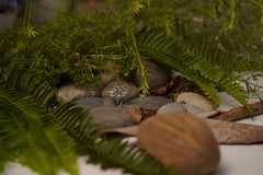 Luxury Silver-Plated Statement Ring with Sparkling CZ Stones – Elegant Cocktail & Party Jewelry for Women SIZZLE JEWELS