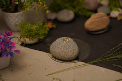 Classic Solitaire Stud Earrings in Gold & Silver – Elegant Crystal Stone Earrings for Daily & Party Wear SIZZLE JEWELS